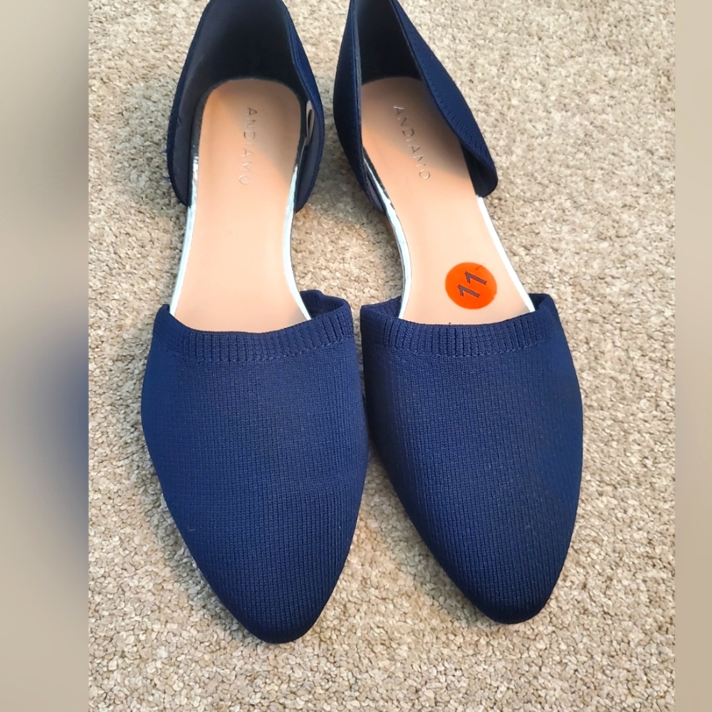 NWT dress flats